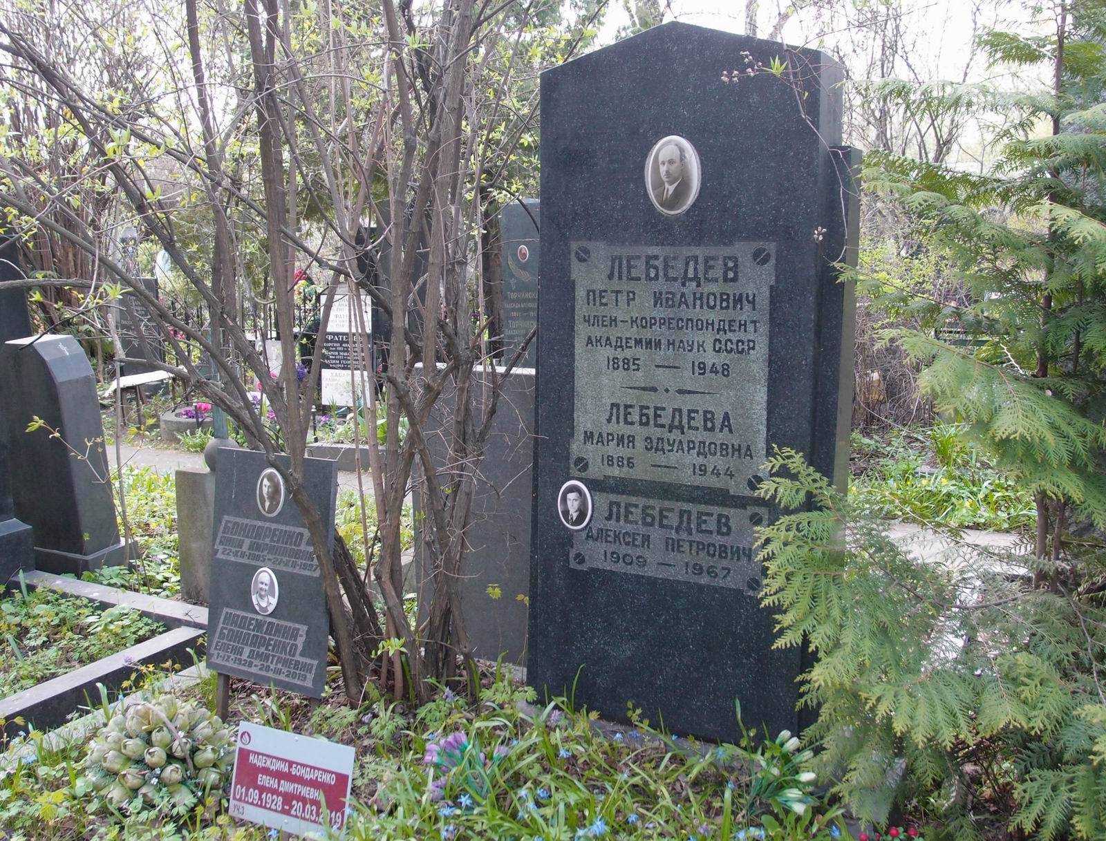 Памятник на могиле Лебедева П.И. (1885–1948), на Новодевичьем кладбище (3–47–8).
