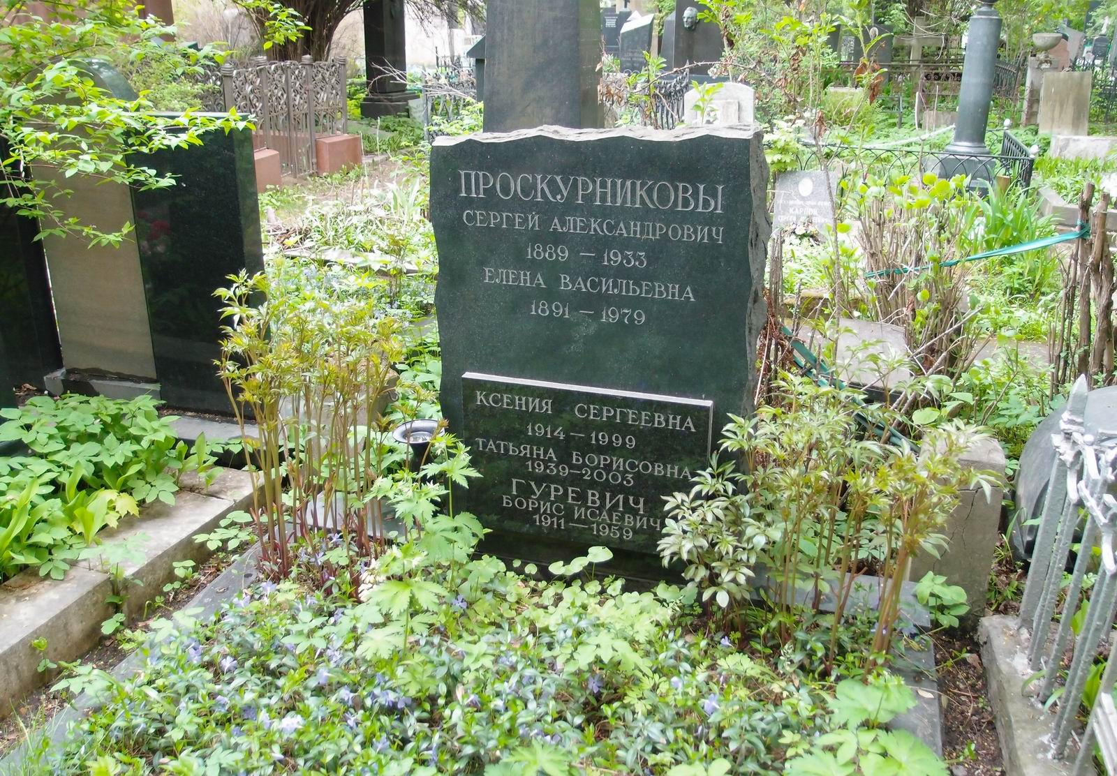 Памятник на могиле Проскурникова С.А. (1889–1933), на Новодевичьем кладбище (3–26–9).
