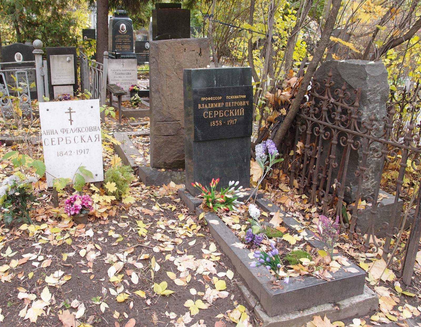 Памятник на могиле Сербского В.П. (1858–1917), на Новодевичьем кладбище (3–38–2).