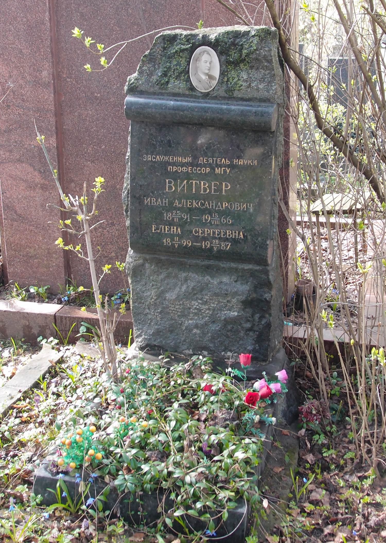 Памятник на могиле Витвера И.А. (1891–1966), на Новодевичьем кладбище (3–19–2).