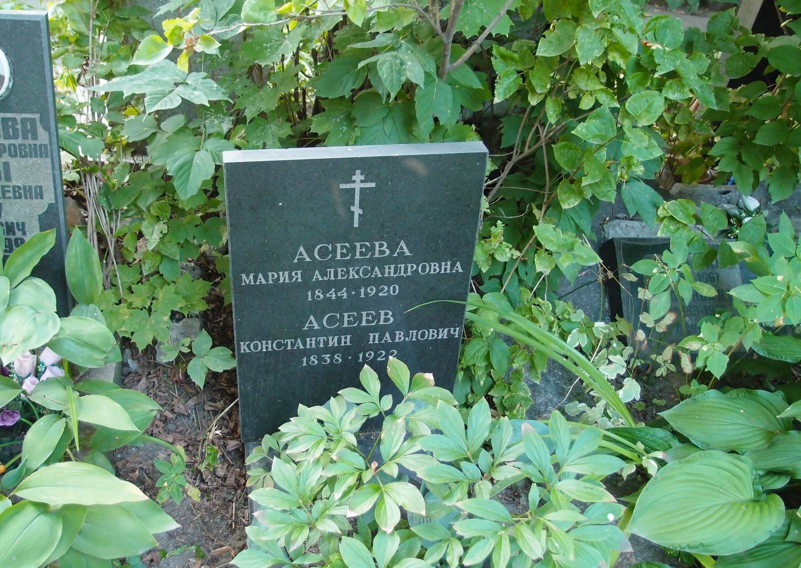 Памятник на могиле Асеева К.П. (1838–1922), на Новодевичьем кладбище (4–46–12).