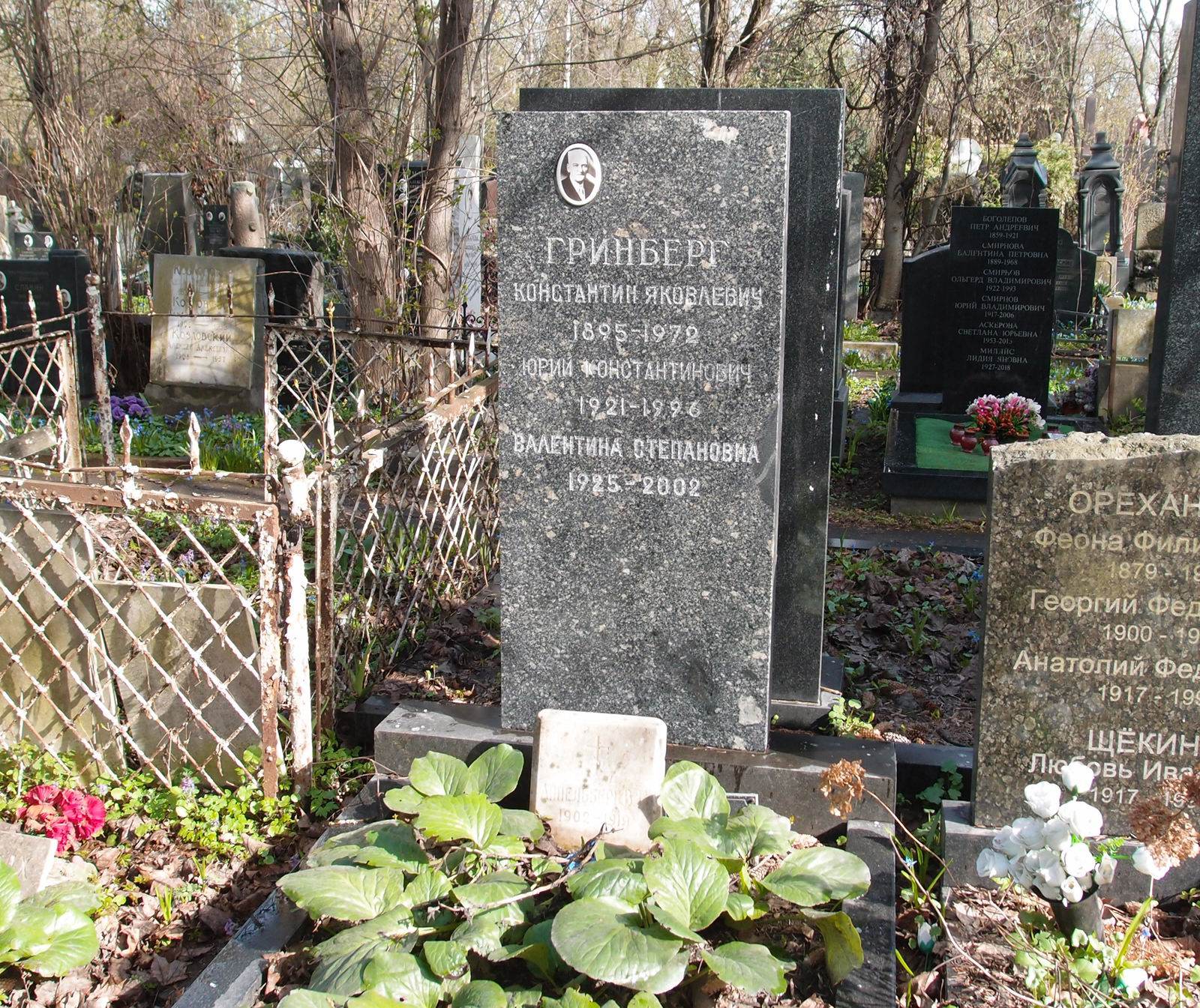Памятник на могиле Гринберга К.Я. (1895–1972), на Новодевичьем кладбище (4–39–14).