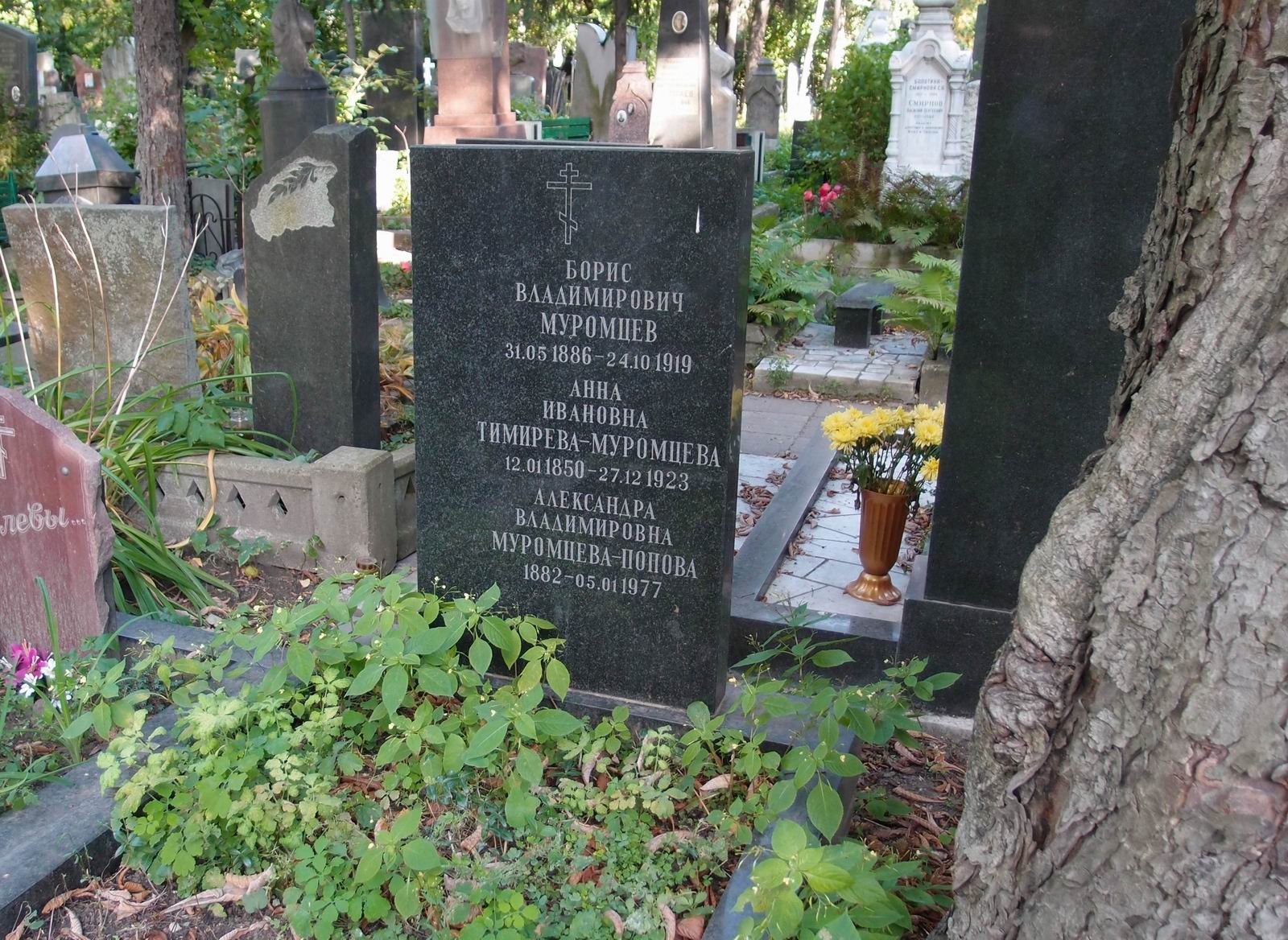 Памятник на могиле Муромцева Б.В. (1886–1919), на Новодевичьем кладбище (4–49–21).