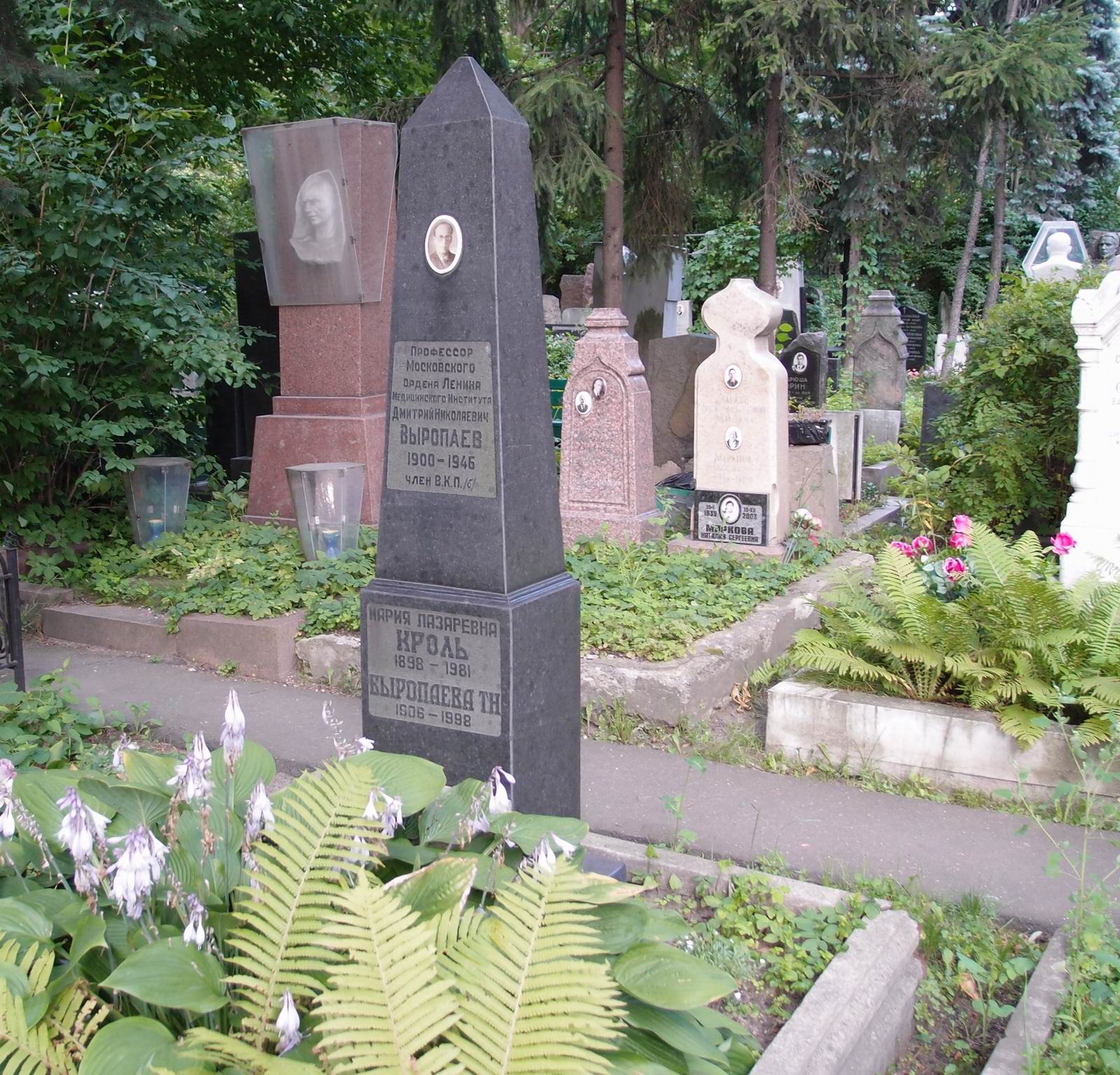 Памятник на могиле Выропаева Д.Н. (1900–1946), на Новодевичьем кладбище (4–47–21).