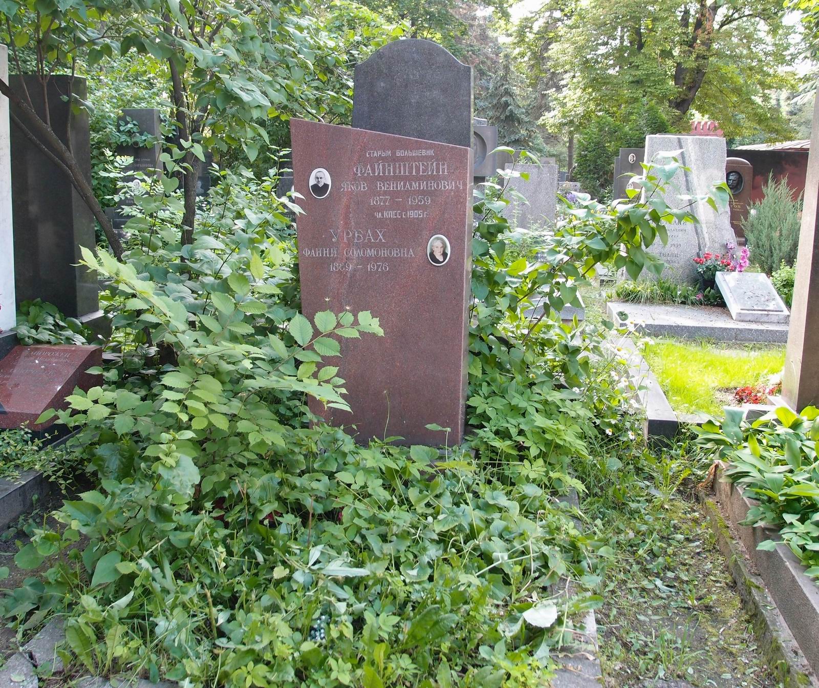 Памятник на могиле Файнштейна Я.В. (1877–1959), на Новодевичьем кладбище (5–31–4).