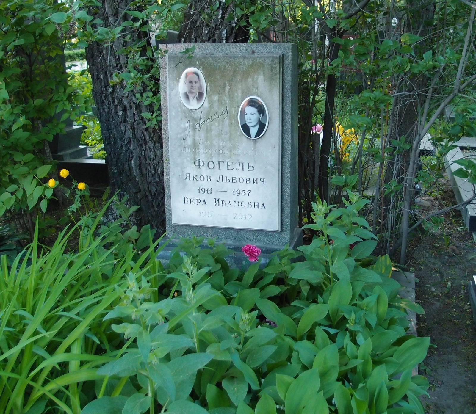 Памятник на могиле Фогеля Я.Л. (1911–1957), на Новодевичьем кладбище (5–5–5).