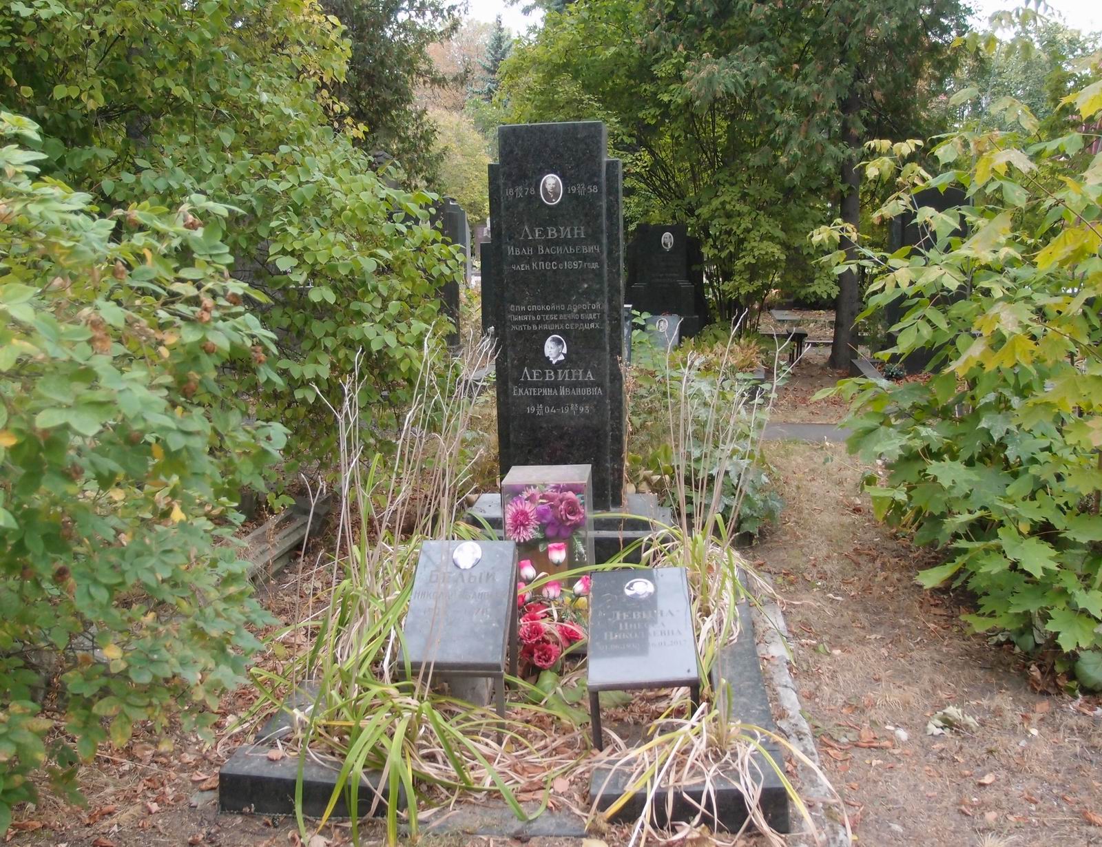 Памятник на могиле Левина И.В. (1878–1958), на Новодевичьем кладбище (5–17–4).