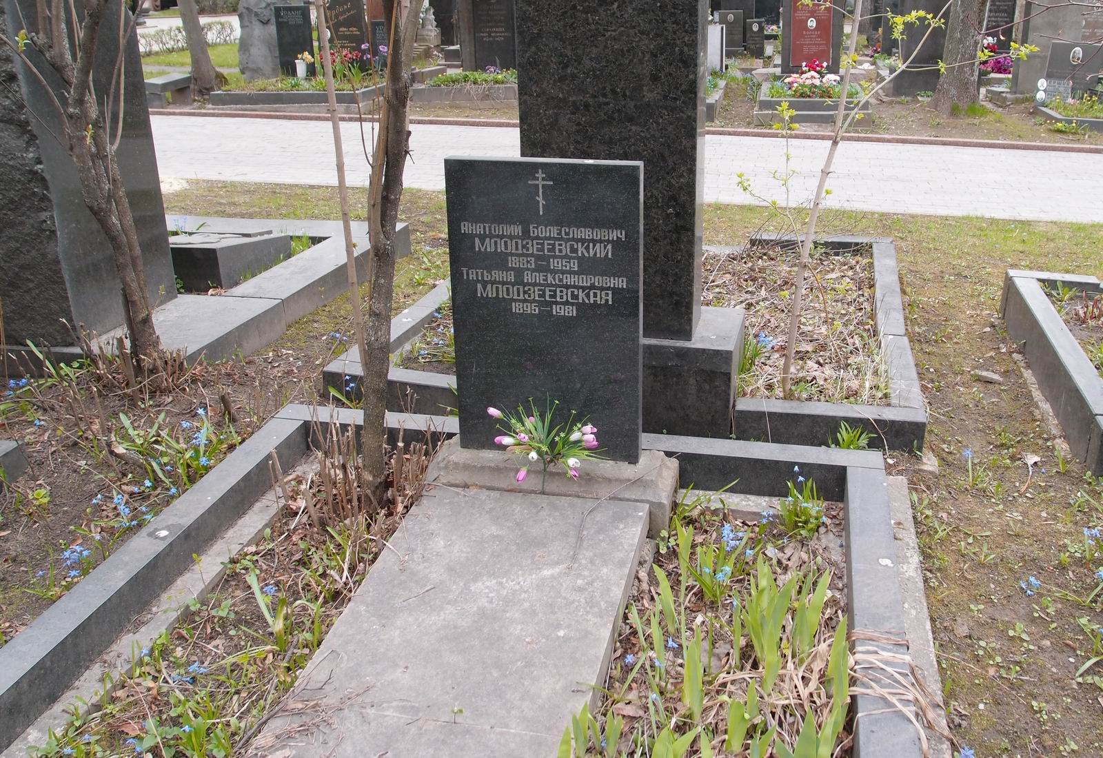 Памятник на могиле Млодзеевского А.Б. (1883–1959), на Новодевичьем кладбище (5–37–6).