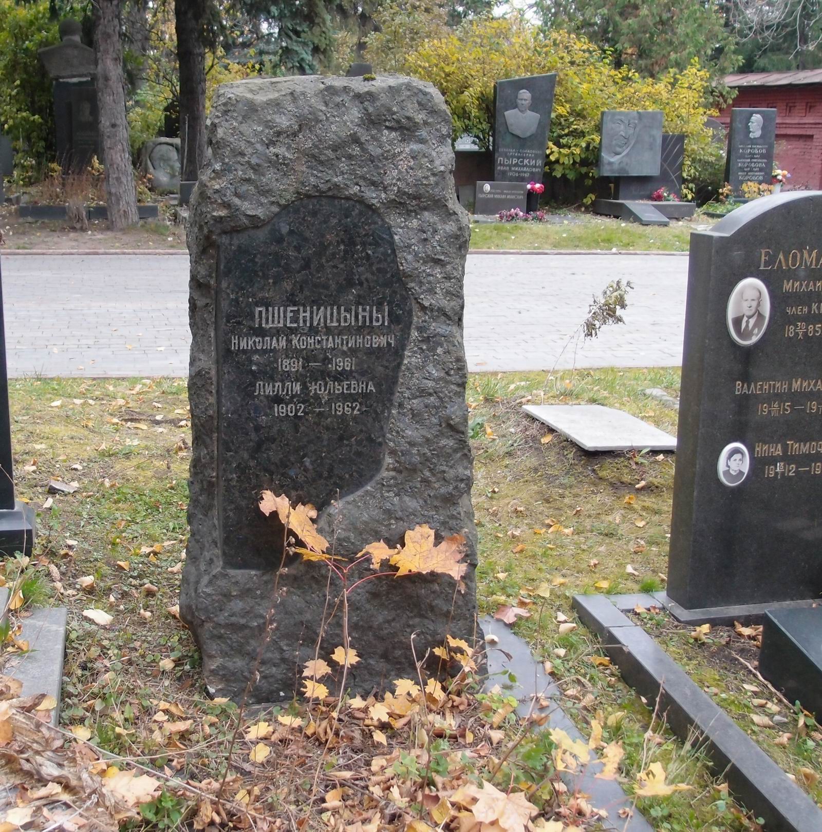Памятник на могиле Пшеницына Н.К. (1891–1961), на Новодевичьем кладбище (5–43–7).