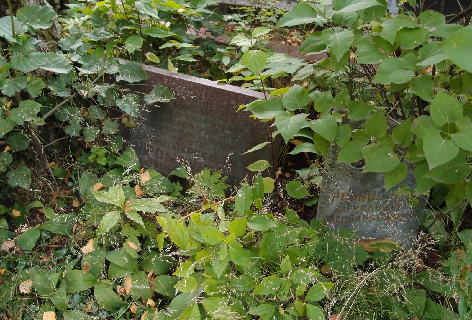 Памятник на могиле Ромашова Б.С. (1895–1958), на Новодевичьем кладбище (5–21–1).