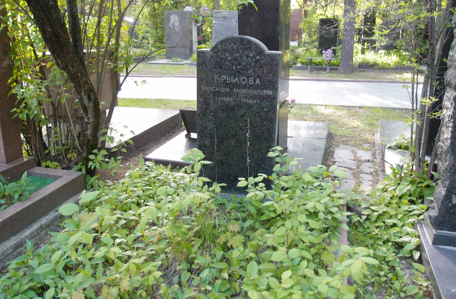 Памятник на могиле Крыловой А.А. (1884–1965), на Новодевичьем кладбище (6–15–3).