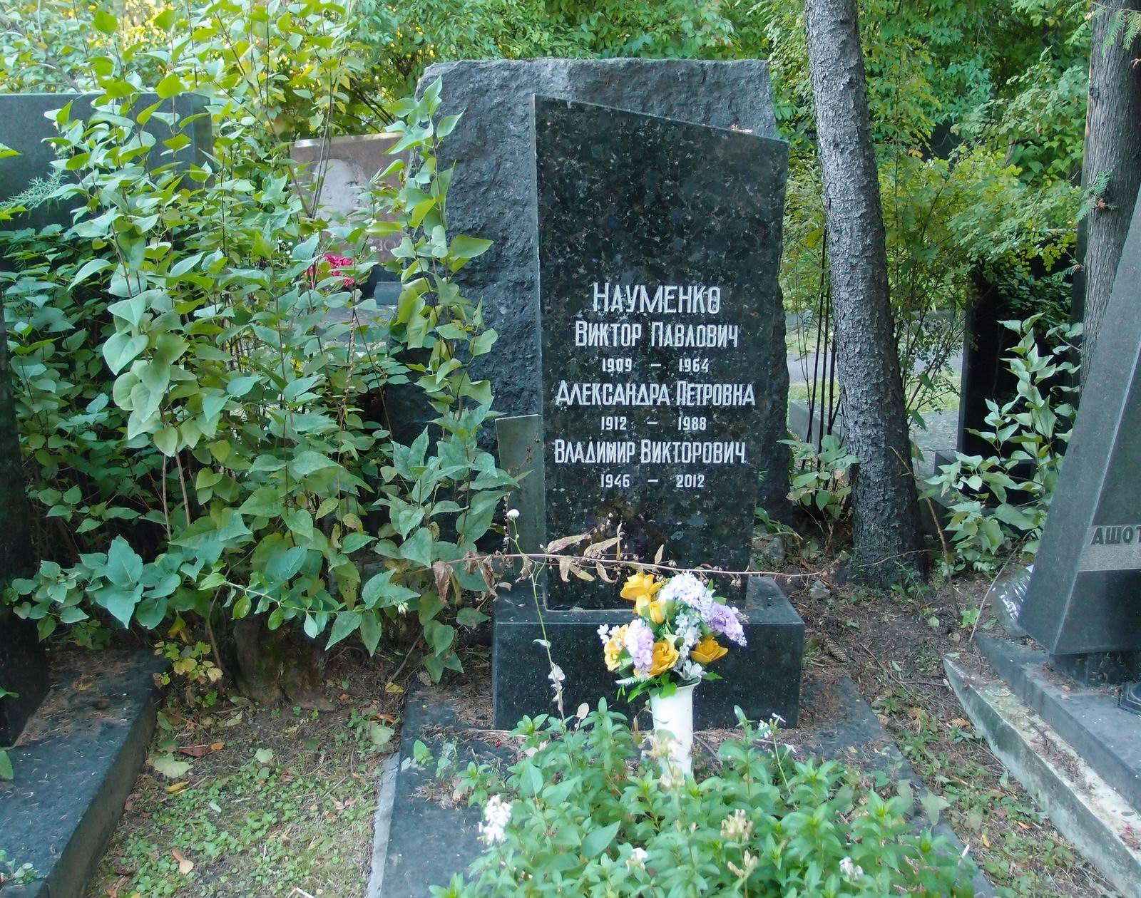 Памятник на могиле Науменко В.П. (1909–1964), на Новодевичьем кладбище (6–13–9).
