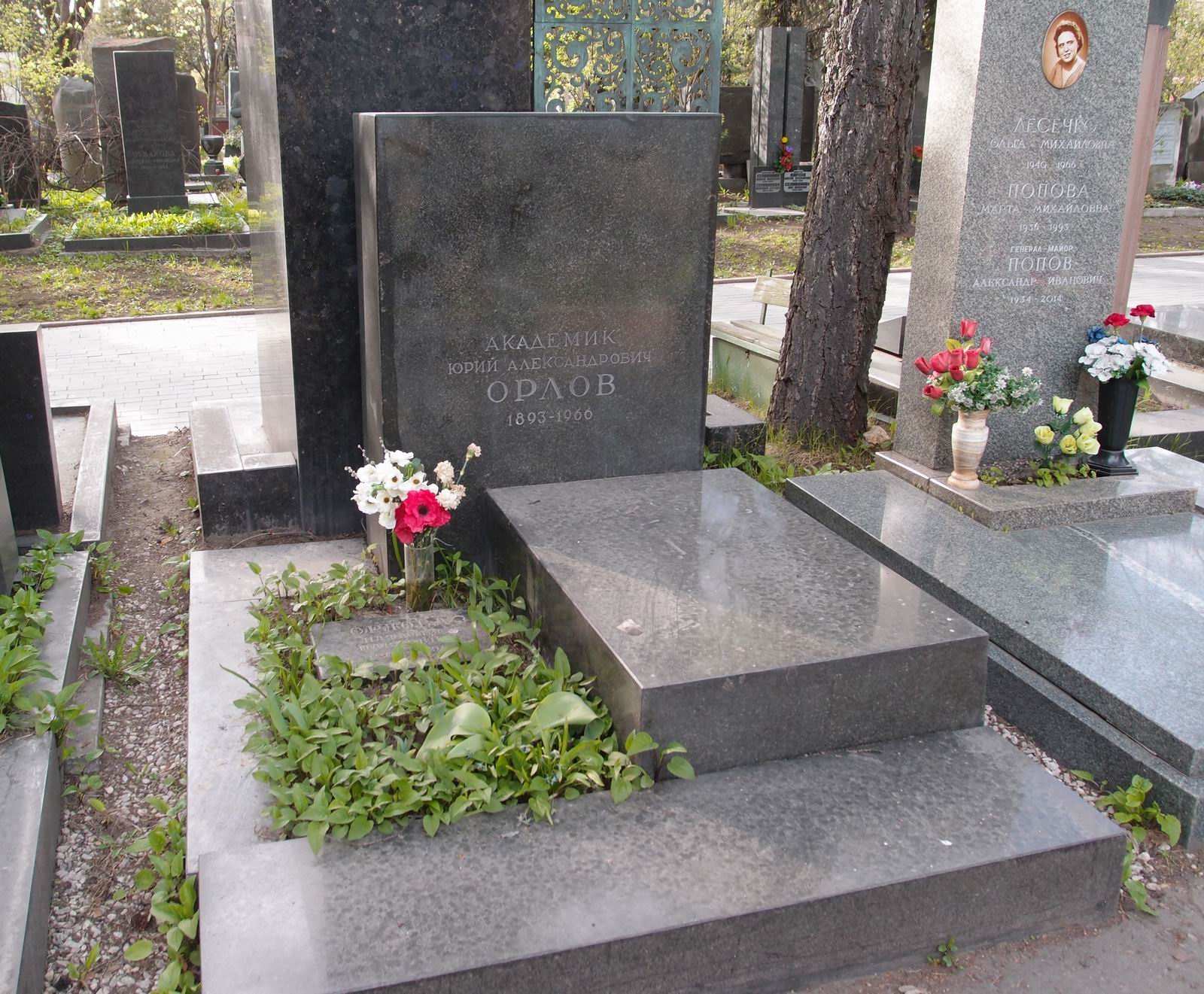 Памятник на могиле Орлова Ю.А. (1893–1966), на Новодевичьем кладбище (6–27–7).
