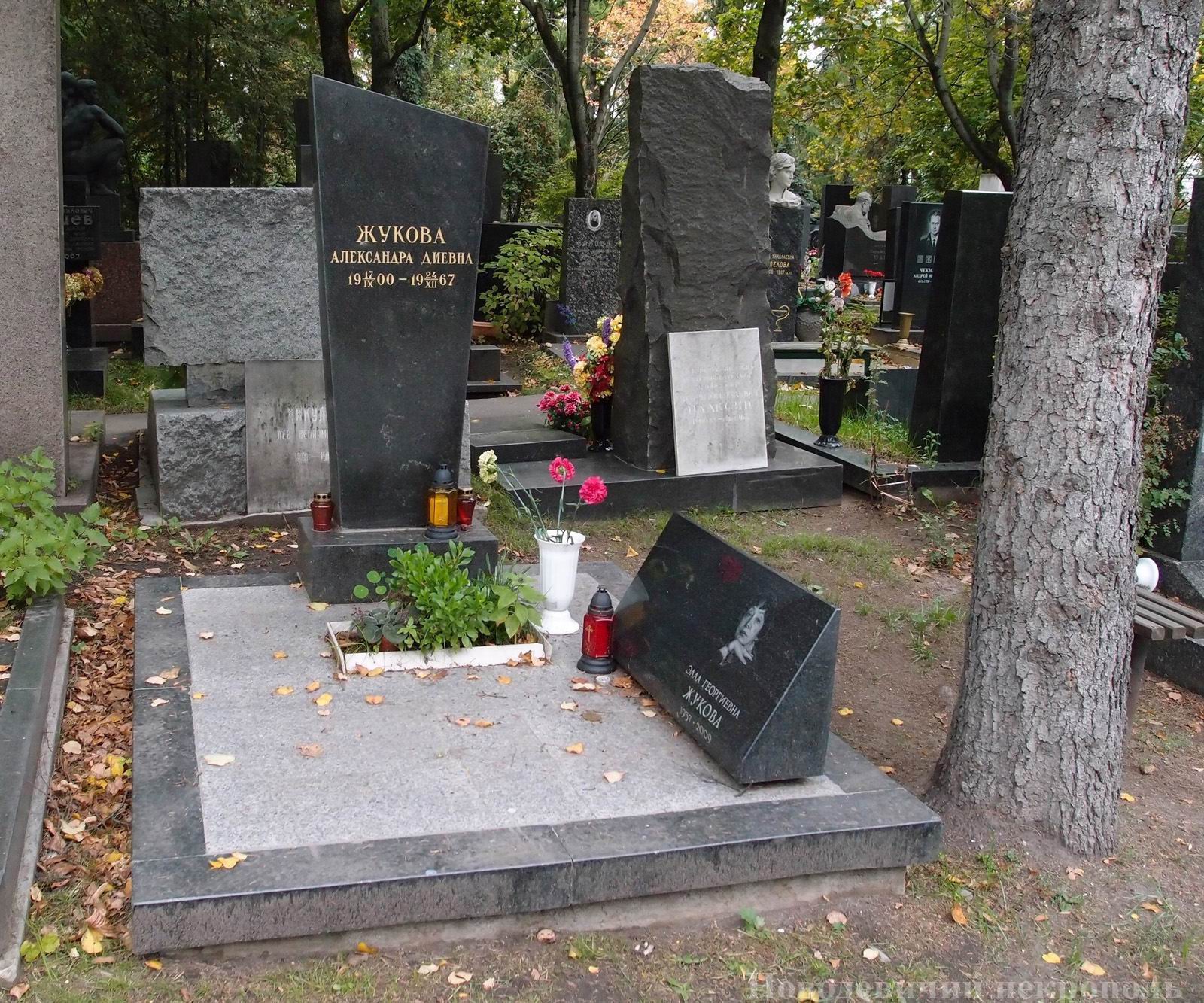 Памятник на могиле Жуковой А.Д. (1900–1967), на Новодевичьем кладбище (6–40–3).