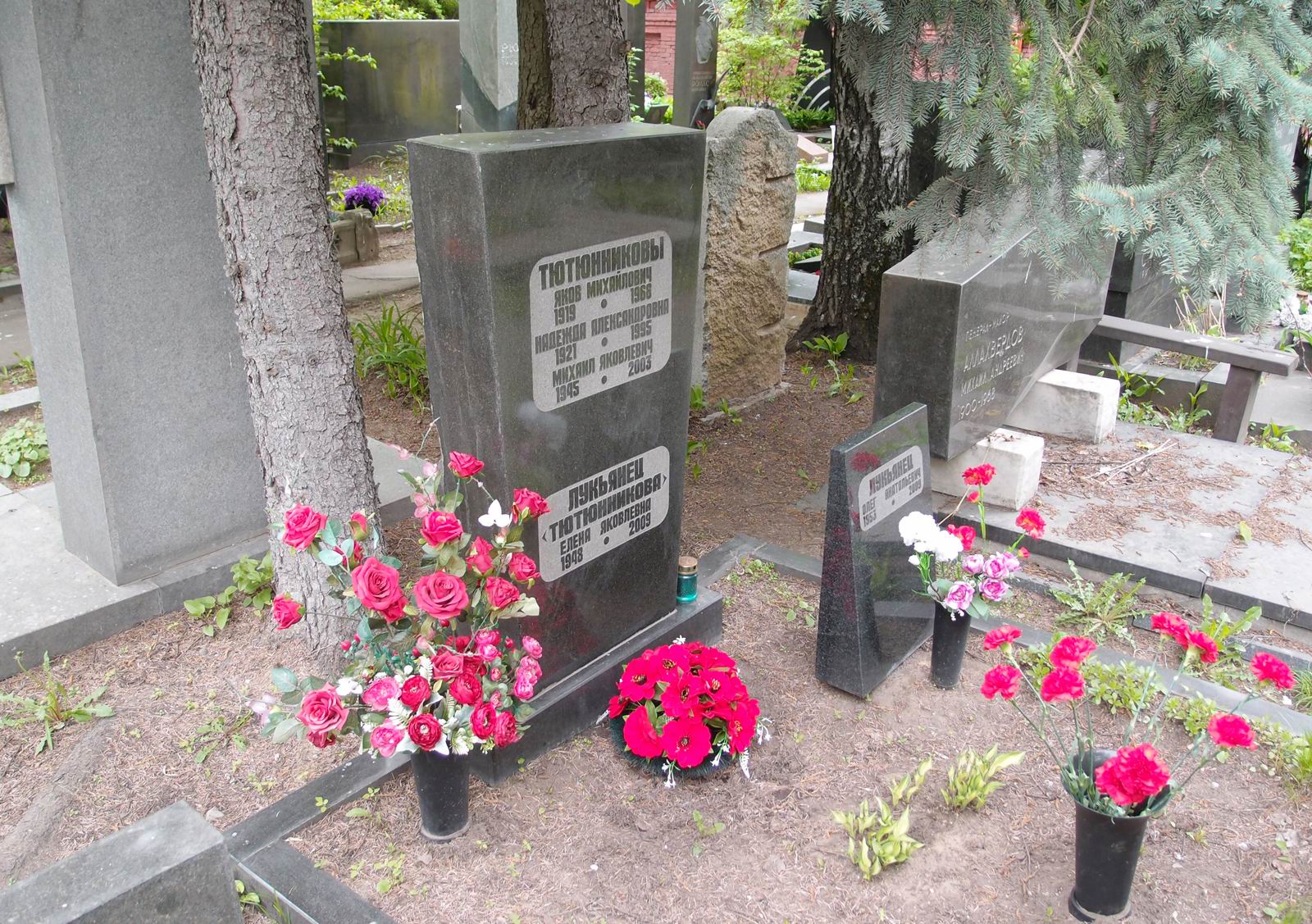 Памятник на могиле Тютюнникова Я.М. (1919–1968), на Новодевичьем кладбище (7–5–6).