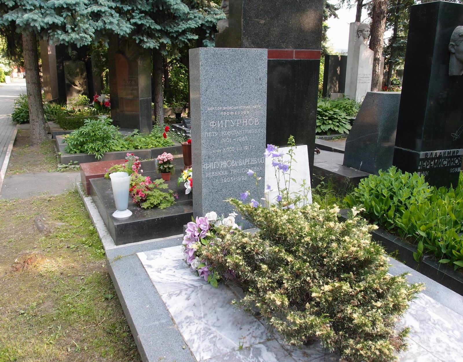 Памятник на могиле Фигурнова П.К. (1901–1963), на Новодевичьем кладбище (8–24–1).