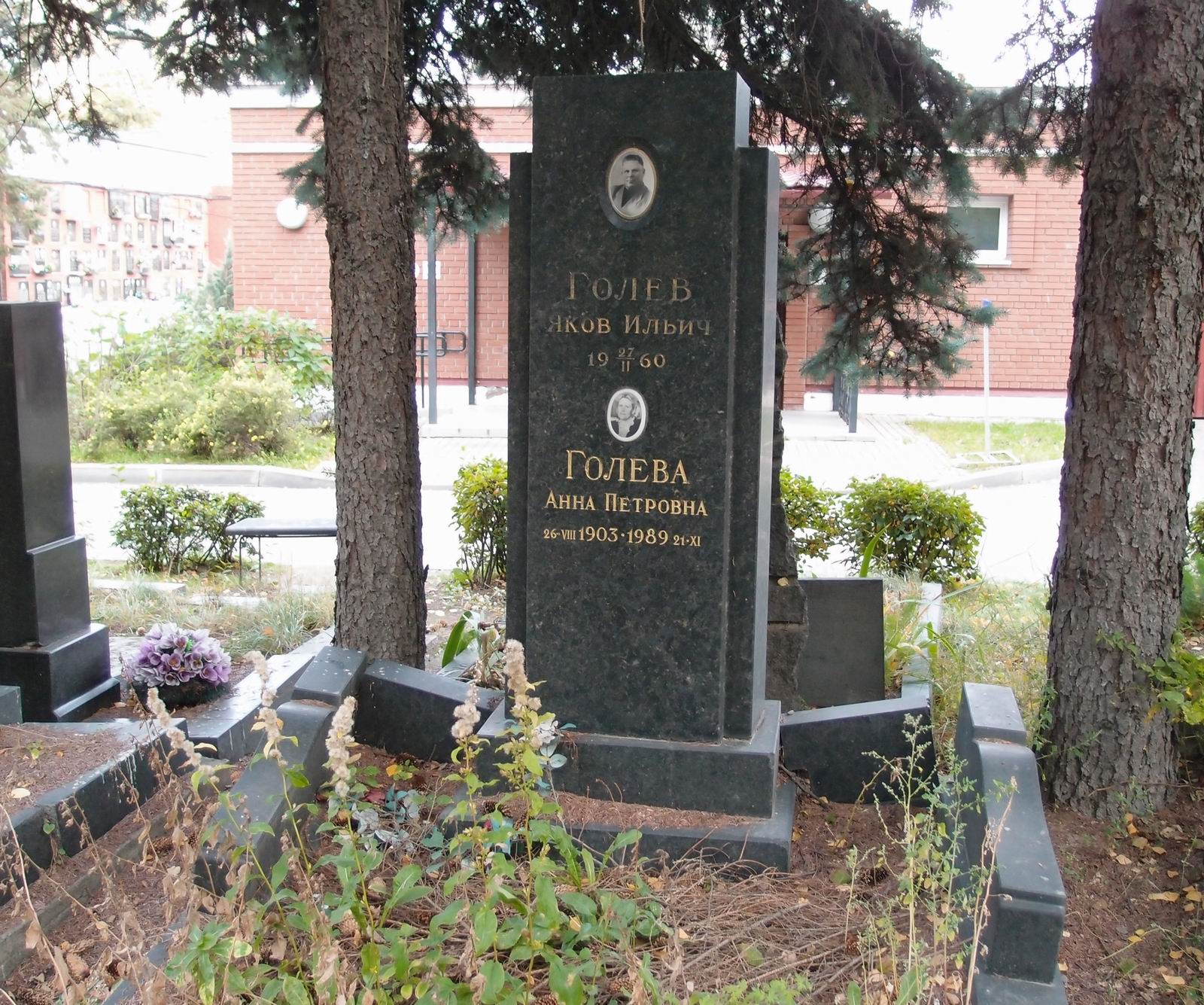 Памятник на могиле Голева Я.И. (1894–1960), на Новодевичьем кладбище (8–2–5).