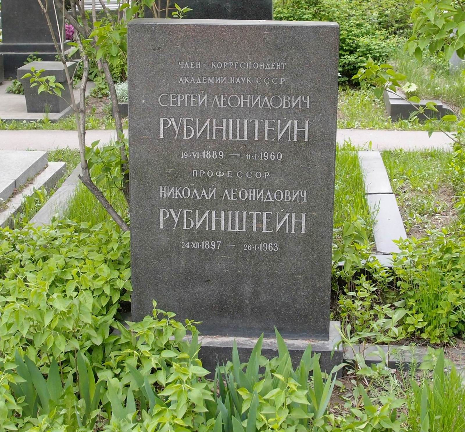 Памятник на могиле Рубинштейна С.Л. (1889–1960), на Новодевичьем кладбище (8–1–14).