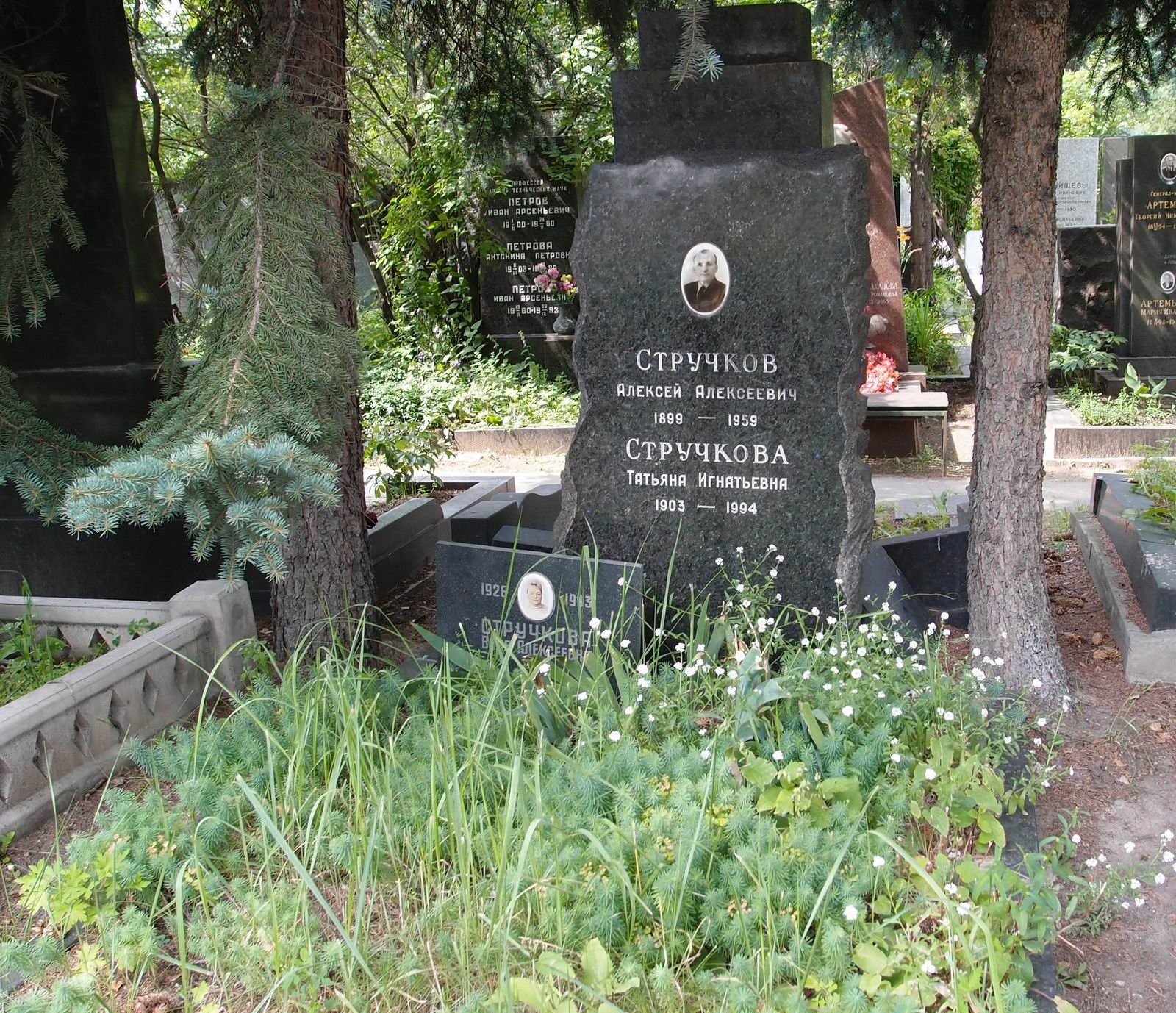 Памятник на могиле Стручкова А.А. (1899–1959), на Новодевичьем кладбище (8–1–5).