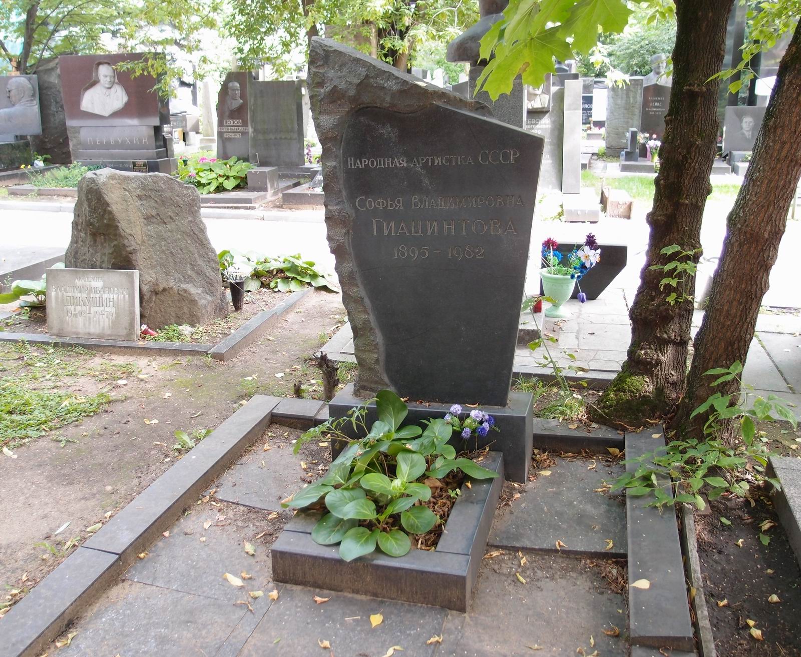Памятник на могиле Гиацинтовой С.В. (1895–1982), на Новодевичьем кладбище (9–6–12).