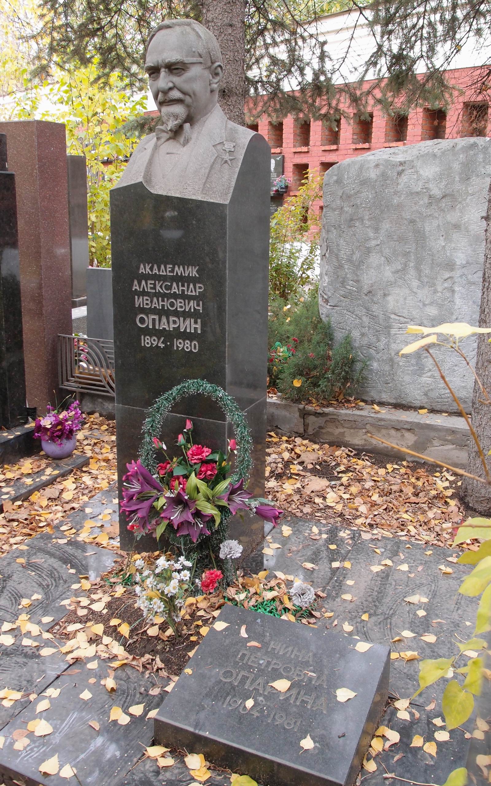 Памятник на могиле Опарина А.И. (1894–1980), ск. А.Елецкий, арх. А.Усачев, на Новодевичьем кладбище (9–6–9).